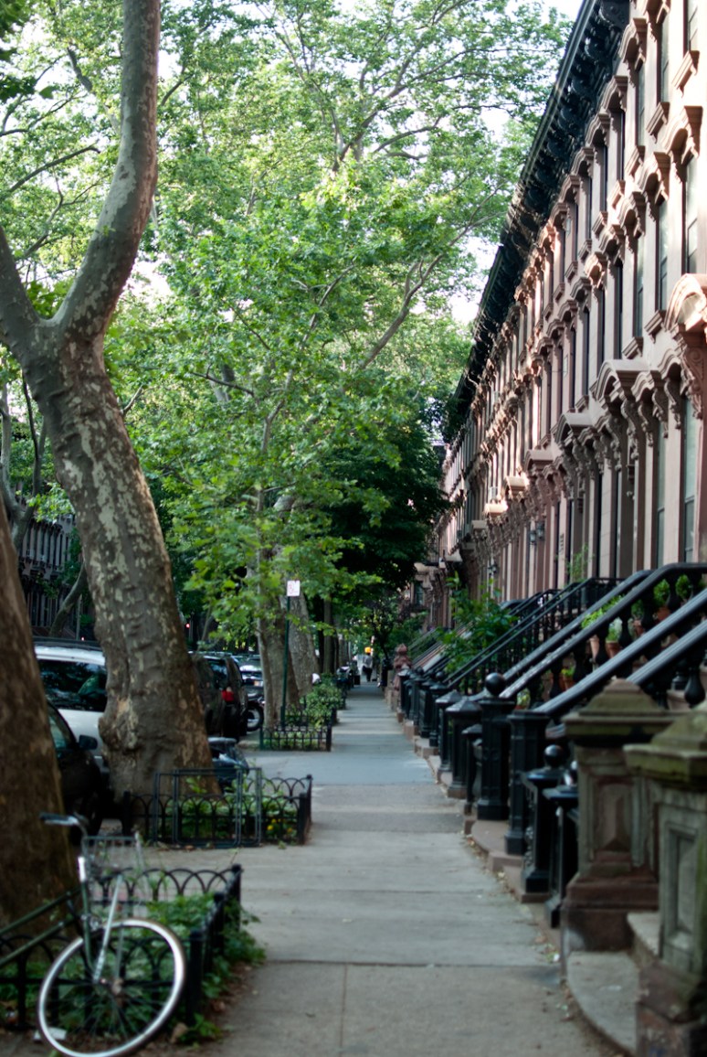 Fort Greene | Clinton Hills | NYC | Urban Architecture | Brooklyn Neighborhood