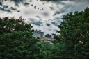 Fort Greene Park | HDR | New York City | Brooklyn | Nature