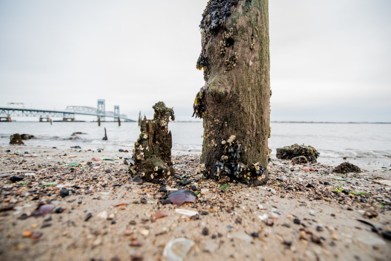 Urban Decay | Exploration | Dead Horse Bay | Photography | Adventure | New York City | Abandoned