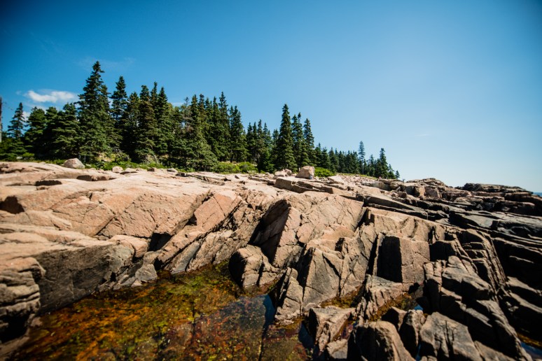 Acadia National Park | Nature Photography | Thunder Point | Maine Travel